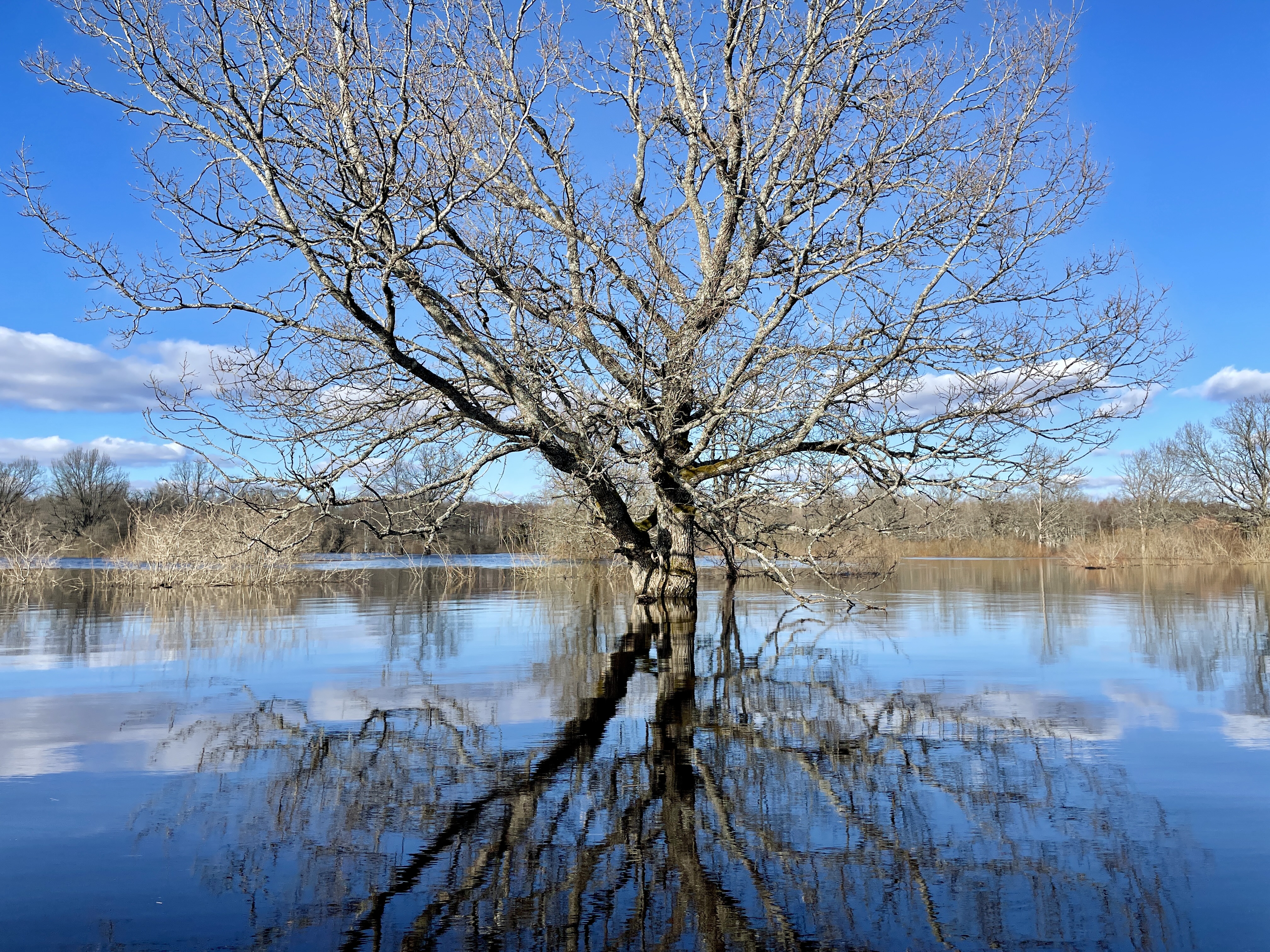 Sunny spring day with flooded meadow during fifth season